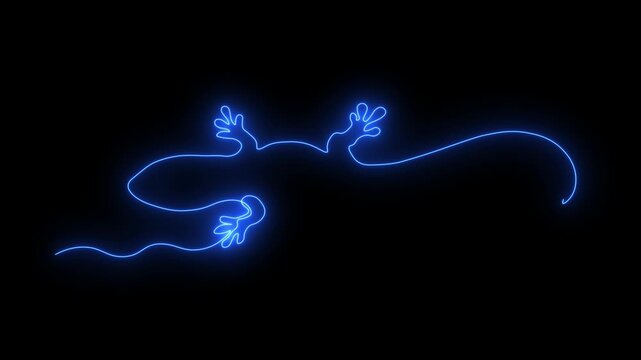 Abstract Lizard. Self drawing animation one continuous line draw, logo.  Blazing  flame, energy, fire on black background. neon blue luminous sign