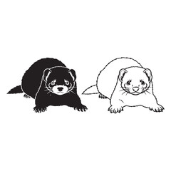 A Ferret Pair - Domesticated Pet - Pointed Snout - Ferret silhouette - Ferret lineart - Ferret vector - vector set of Ferret

