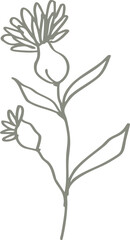 branch of flower spring sketch element