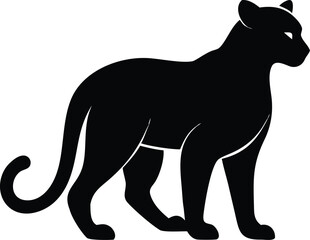 Clouded leopard silhouette of elusive wild feline in walking pose isolated on white background