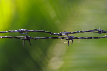 Close-up of barbed wire with beautiful bokeh.