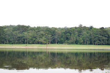Landscape of lakes and rich forests in the tropics on white isolate background.environmental concept	