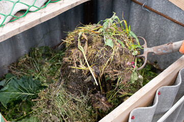 Home Gardening: Turning Compost with Trowel