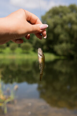 Female hand holding small fish by lake on sunny day