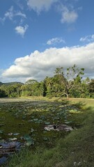 landscape with river and clouds