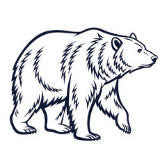 brown bear vector illustration