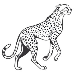 Fototapeta premium cheetah vinyl ready vector illustration