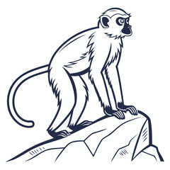Monkey on the hill vector illustration on a white background 
