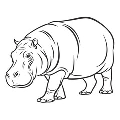 Rhino vector illustration on a white background 