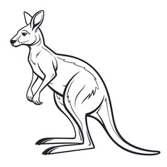 kangaroo vector illustration on a white background 