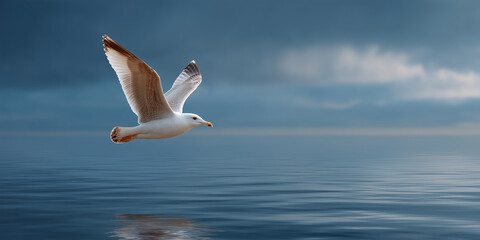 Seagull in Flight Over Calm Ocean Waters with Reflection and Dramatic Cloudy Sky in the Background at Dusk or Dawn