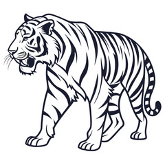 Tiger on white background 