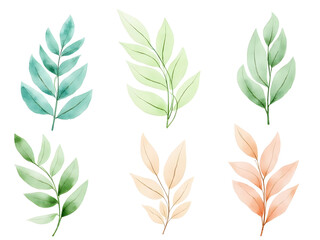 Hand painted watercolor tropical leaves collection green teal peach beige foliage branches isolated on a transparent background