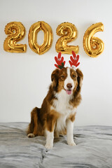 Greeting card with a dog and golden balloons in the shape of numbers 2026 - Happy New Year and...
