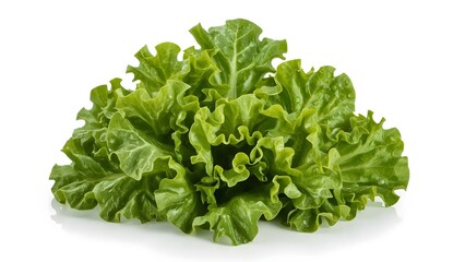 Fresh green lettuce isolated on white background