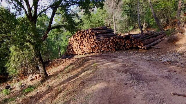 Wooden log loading. Forestry work in the forest. Pile of wooden logs. Sierra de Cazorla. Spain.