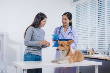 An Asian female veterinarian provides professional advice to a pet owner about her Corgi's illness....