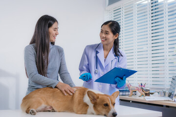 An Asian female veterinarian provides professional advice to a pet owner about her Corgi's illness....