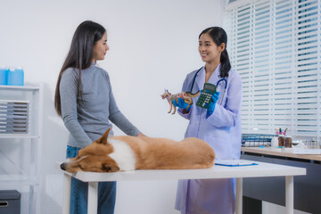 An Asian female veterinarian discusses treatment plans and estimated costs with pet owners,using...