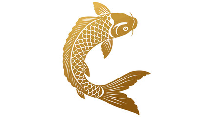 Slender golden koi fish swim in circular motion.