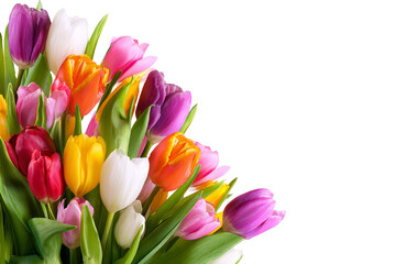 Naklejka premium colorful tulips bouquet isolated on white background.