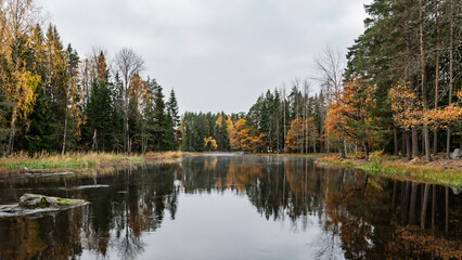 Sunrise morning in a salmon Swedish river landscape in autumn.