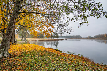 Sunrise morning in a salmon Swedish river landscape in autumn.