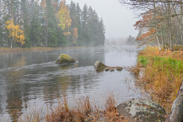 Sunrise morning in a salmon Swedish river landscape in autumn.
