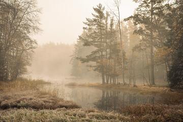 Sunrise morning in a salmon Swedish river landscape in autumn.