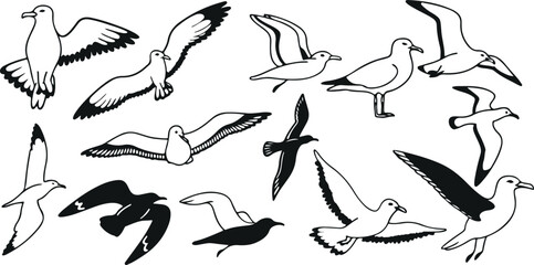 Flying Seagulls and Birds Doodle Set – Hand-Drawn Avian Art, Coastal Wildlife Sketch, Nature-Inspired Line Art