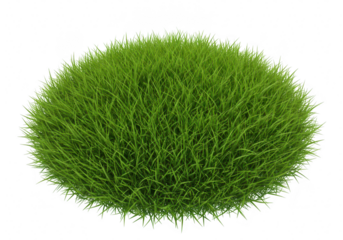 Round green grass isolated on transparent background