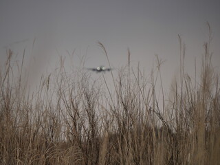 近づいてくる飛行機