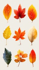 Fototapeta premium Colorful autumn leaves display with droplets arranged on a light background