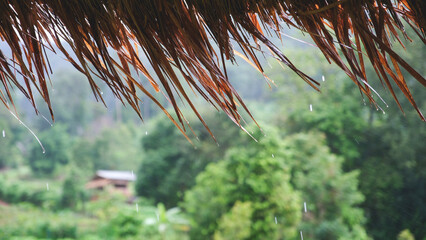 Raining over the grass hut roof in countryside