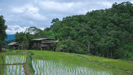 Rice terraces and wooden hut on cloudy day