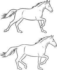 A pair of dynamic horse line art illustrations, depicting a running pose, perfect for animal lovers, equestrian themes, and designs related to nature and speed.