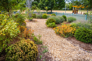 Modern gardening landscaping, plants with brown bark mulch