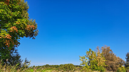 Obraz premium Vibrant landscape featuring lush green trees and a clear blue sky, showcasing the beauty of nature in a serene outdoor environment with a peaceful atmosphere