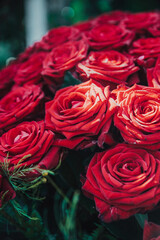 Bukiet czerwonych róż