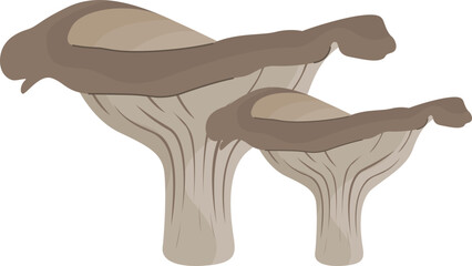 Shimeji Mushroom Illustration