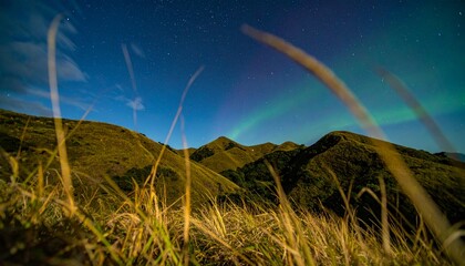 Obraz premium Aurora Over Golden Fields in Late Summer