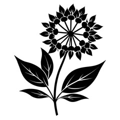 joe pye weed flower silhouette vector on white-background