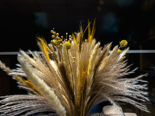 Dried Pampas Grass Bouquet with Billy Buttons on Dark Background