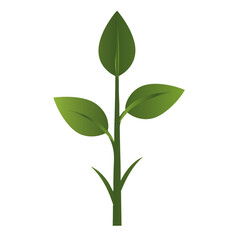 Minimalist Green Plant Stem – Vertical Growth on White Background