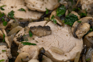 Macro close-up of tender pork tenderloin stewed in cream sauce, braised pork, Polish cuisine