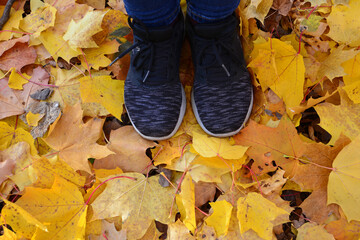 Feet in sneakers standing on a bed of vibrant autumn leaves