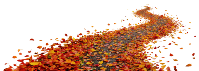 Winding path covered with colorful autumn leaves, isolated on transparent cutout background