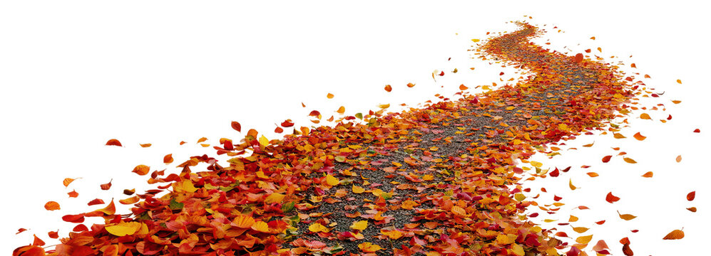 Winding path covered with colorful autumn leaves, isolated on transparent cutout background