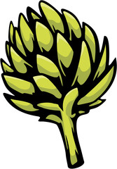 Vector art of green artichoke vegetable isolated on white background