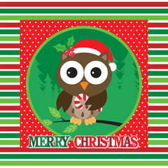 Christmas card with christmas owl and candy cane